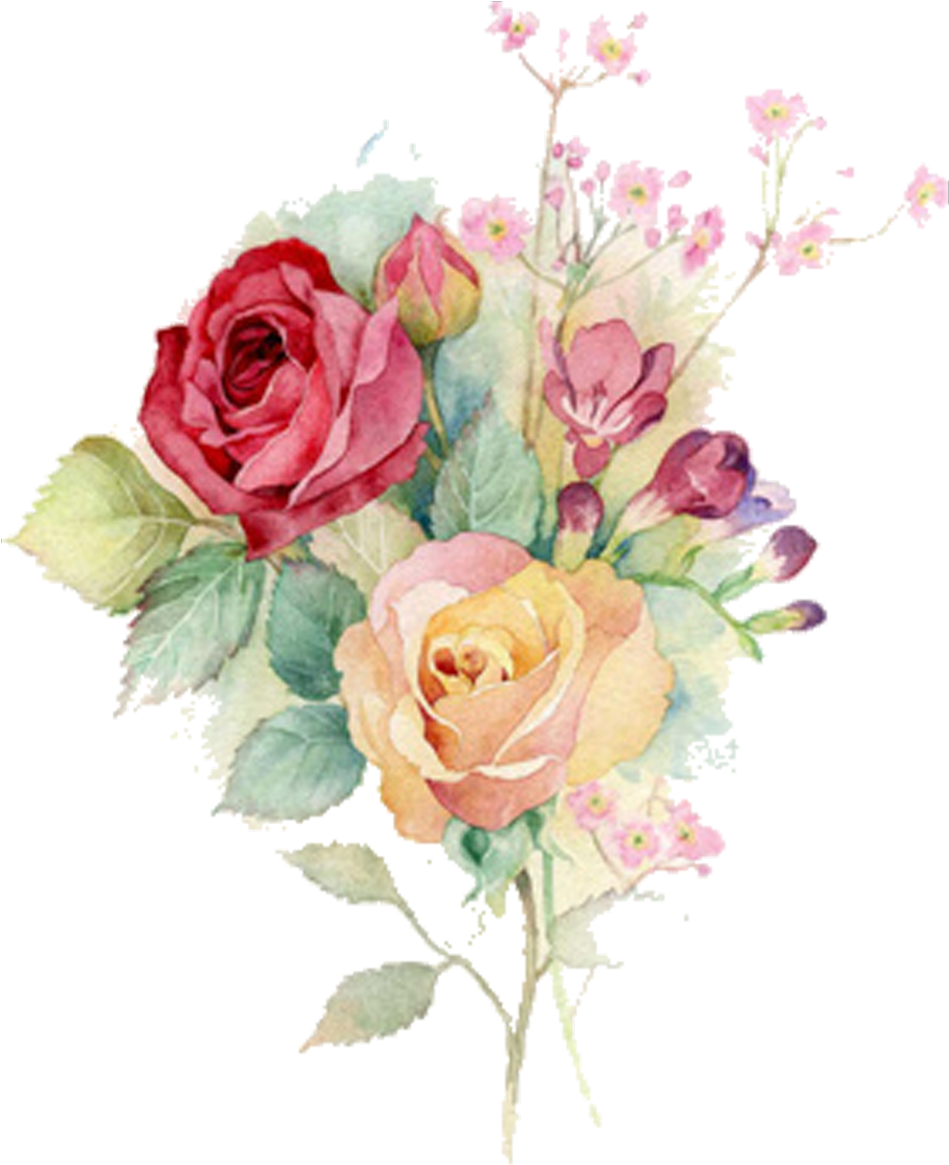 #ftestickers #watercolor #flowers #roses - Rose Watercolor Painting Png Clipart (1024x1430), Png Download