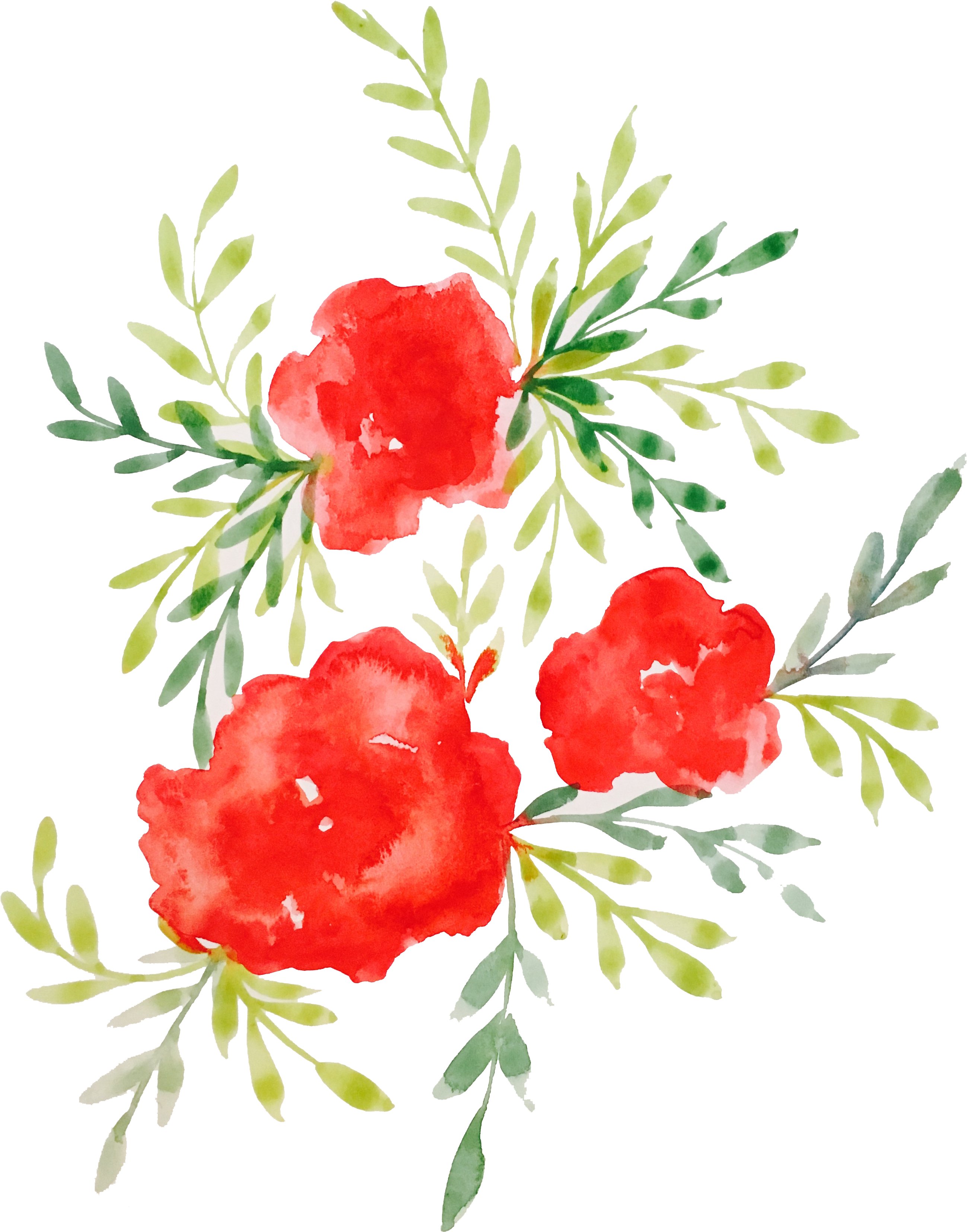 Watercolor Roses - Watercolor Red Flowers Transparent Clipart (3024x4032), Png Download