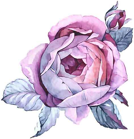 #rose #paint #purple #flower #watercolor #watercolour - Purple Flowers Watercolour Png Clipart (472x488), Png Download