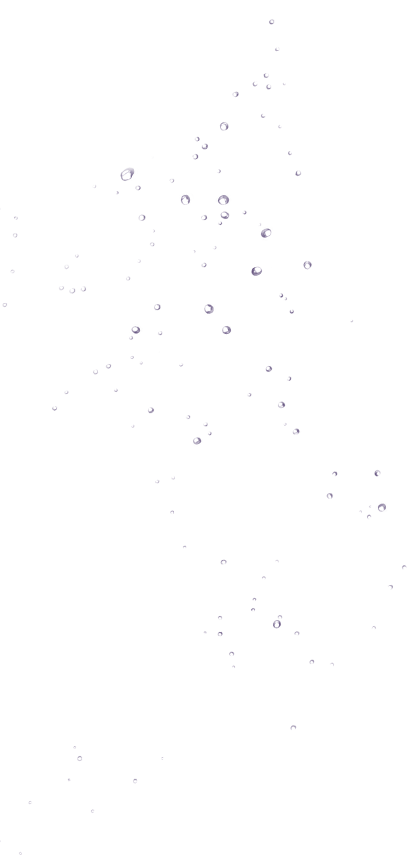 Bird Clipart (408x855), Png Download