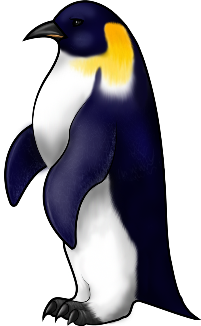 At Getdrawings Com Free For Personal Use - Outline Of An Emperor Penguin Clipart (706x1131), Png Download