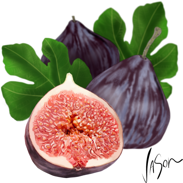 Source - Fordonfood - Files - Wordpress - Com - Report - Common Fig Clipart (640x640), Png Download