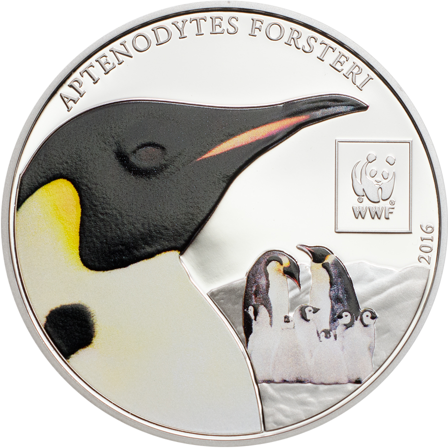 Emperor Penguin Clipart (912x912), Png Download
