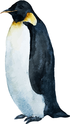 Mirabai Buster - Emperor Penguin Clipart (600x600), Png Download