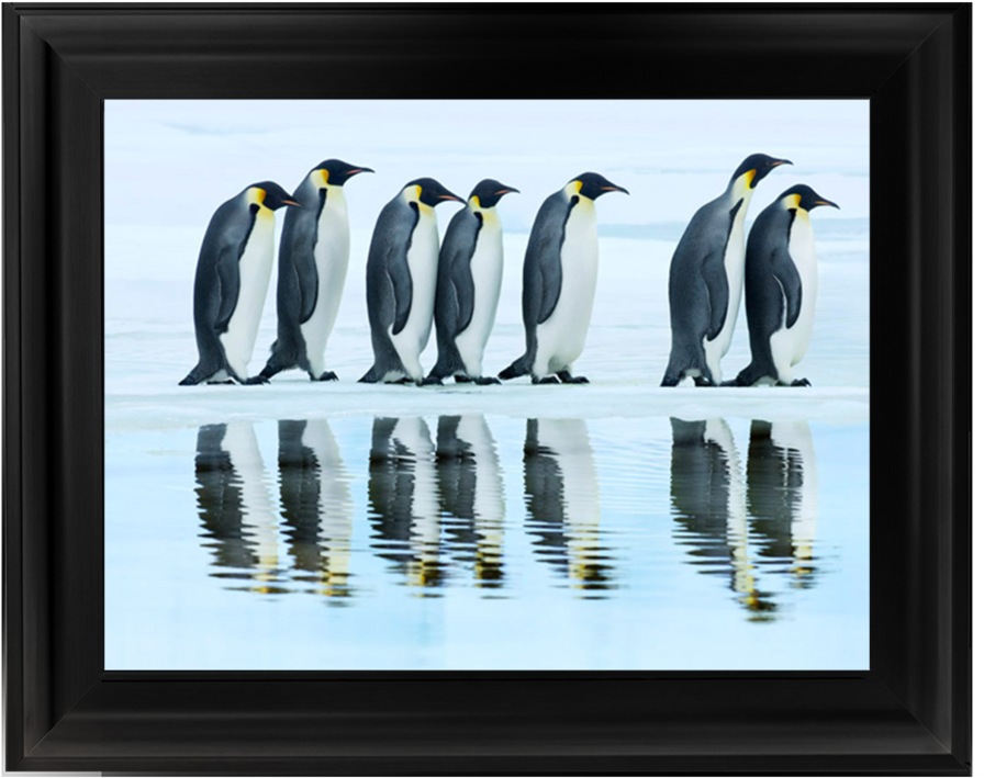 Penguins Group Clipart (1024x1024), Png Download