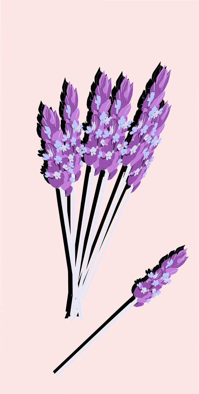 Lavender Flower Plant - Lavender Clipart (648x1280), Png Download