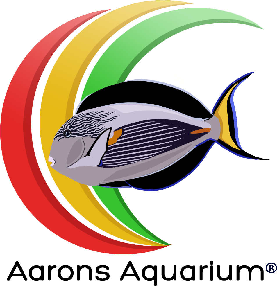 Aquarium Png - Graphic Design Clipart (1080x1080), Png Download