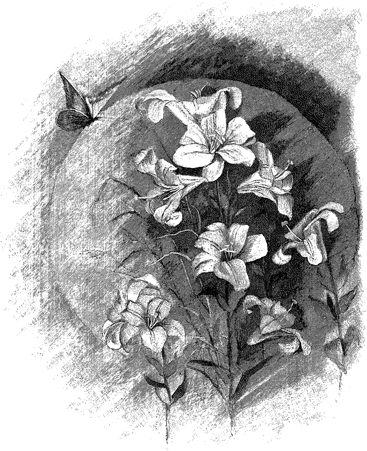 Visual Arts Sketch Flower Illustration Transprent Png - Visual Arts Clipart (1390x1600), Png Download