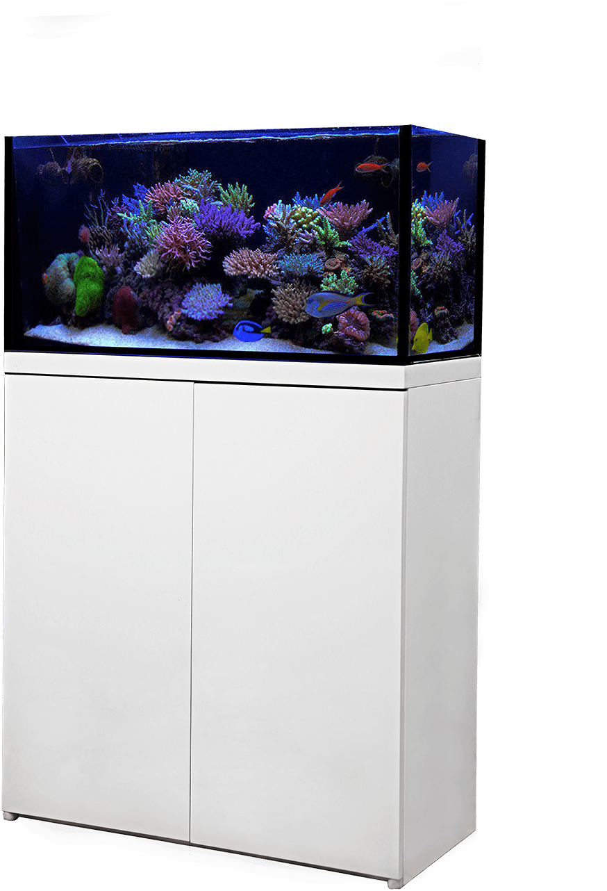 Transparent Piping Aquarium - Reef Octopus Lux 90 Clipart (1000x1500), Png Download