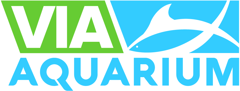 Via Aquarium Rotterdam Coloursafe - Graphic Design Clipart (1000x381), Png Download