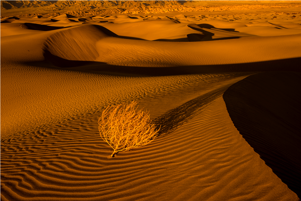 Oceans Of Sand - Erg Clipart (1024x1024), Png Download