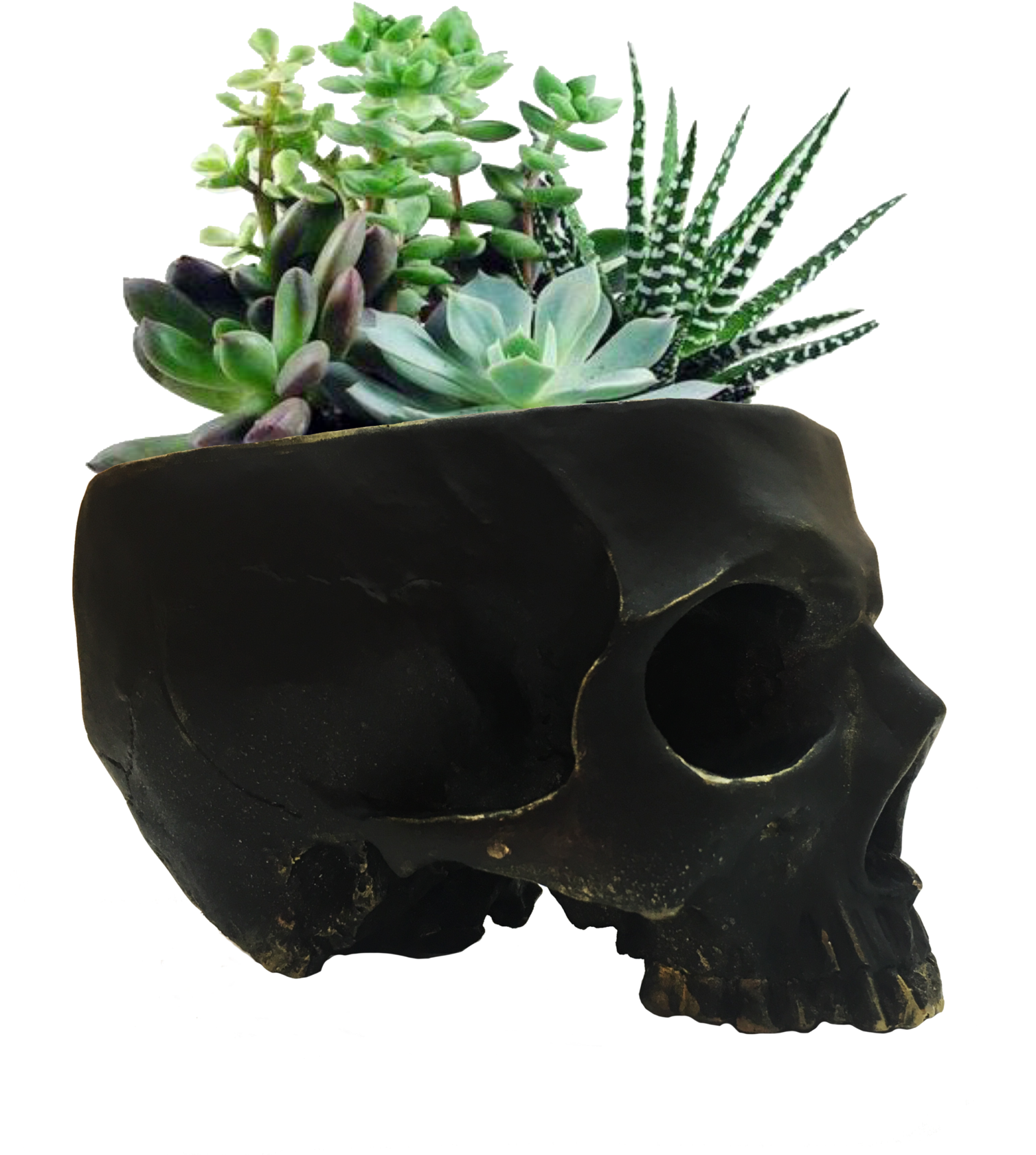 Skull Gold Edges Skull Planter / Skull Bowl / Cool - Bag Clipart (2048x1947), Png Download