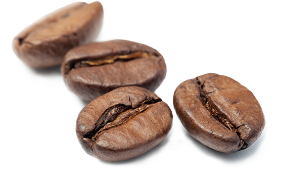 Brita Café Granos De Café - Seed Clipart (560x560), Png Download