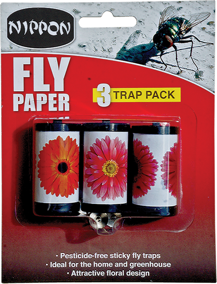 More Views - Barberton Daisy Clipart (1064x1284), Png Download