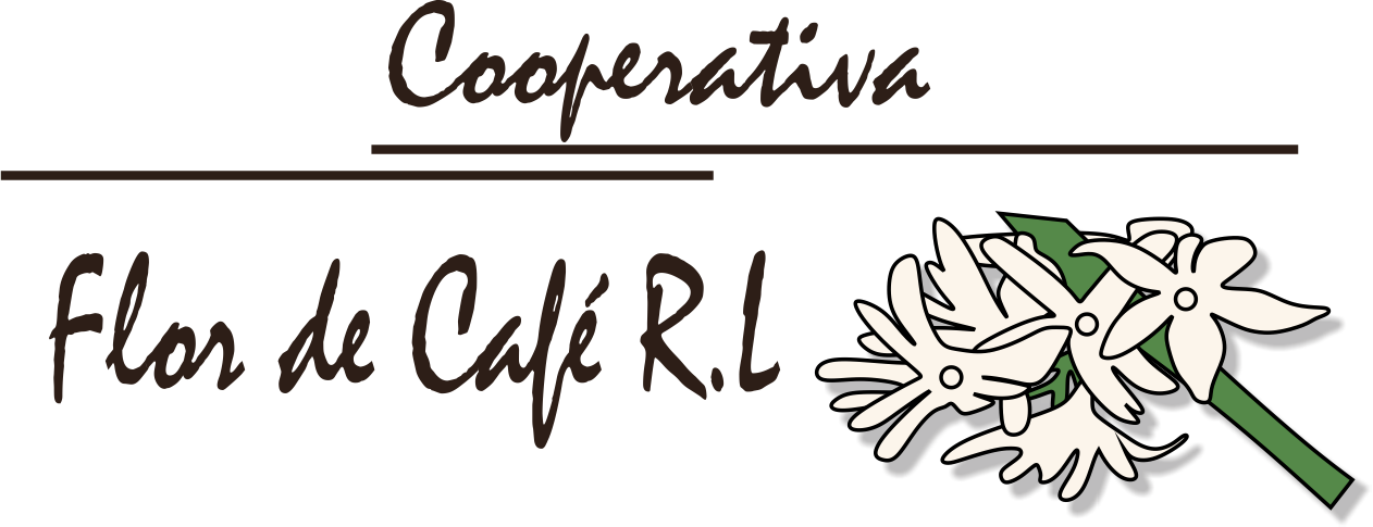 Calligraphy Clipart (1262x485), Png Download