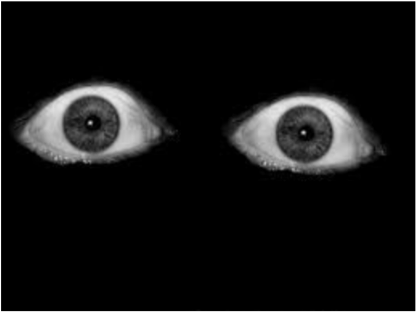 #creepy #horror #eye #eyes #dark #grunge #aesthetic - Horror Eyes Png Clipart (1024x1024), Png Download