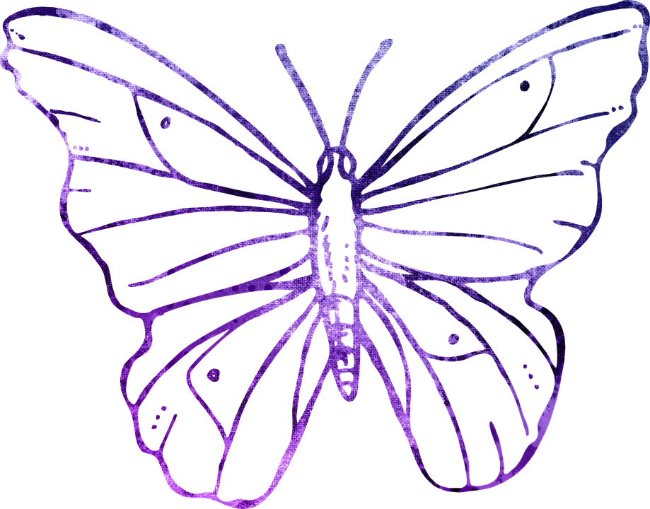Butterfly Purple Outline Clipart Cute Flying - Transparent Background Butterfly Outline Clipart - Png Download (919x720), Png Download