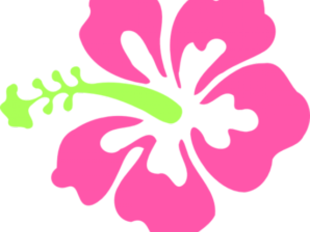 Hibiscus Clipart Pink Hibiscus - Hibiscus Flower Svg Free - Png Download (640x480), Png Download