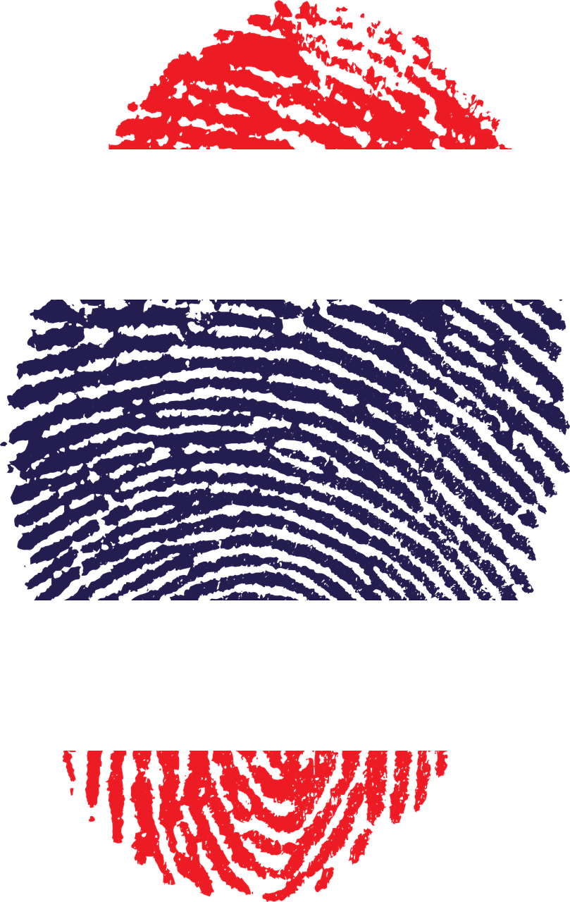 Marshall Island Flag Clipart (809x1280), Png Download