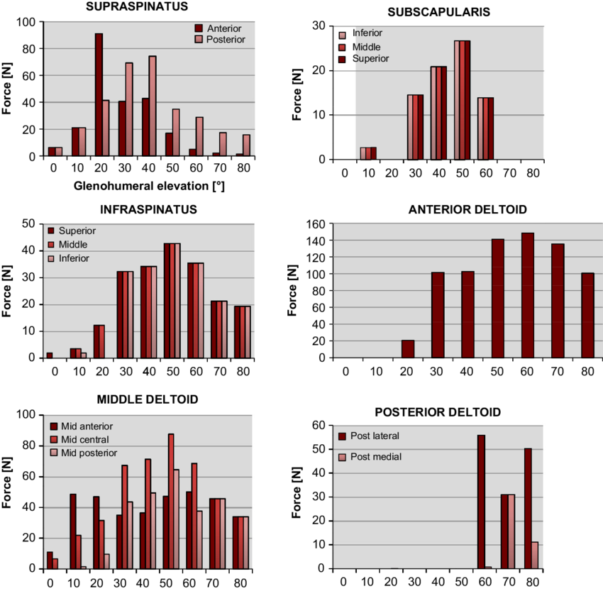 Muscular Arm Png - Style Clipart (850x833), Png Download