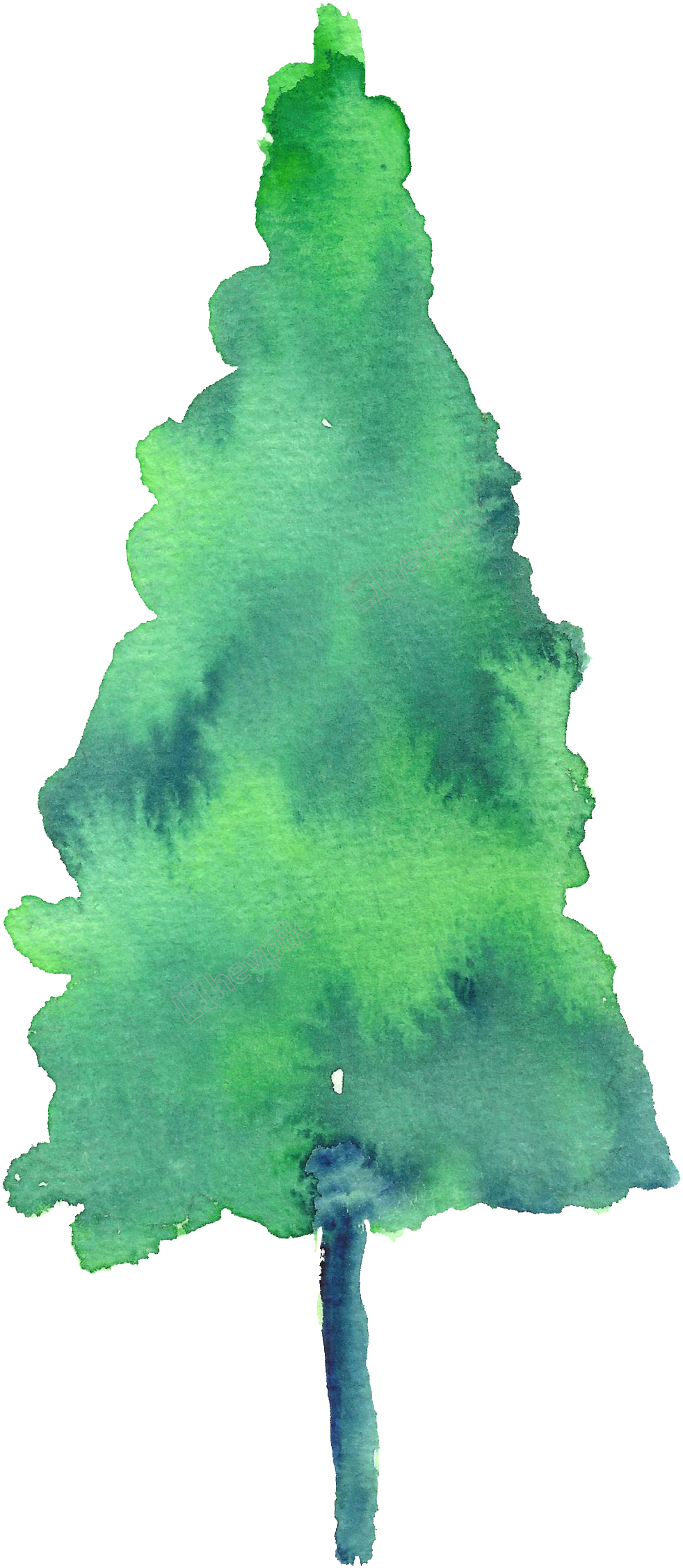 Painted Watercolor Pine Tree Decoration Free Download - Christmas Tree Clipart (1024x2309), Png Download