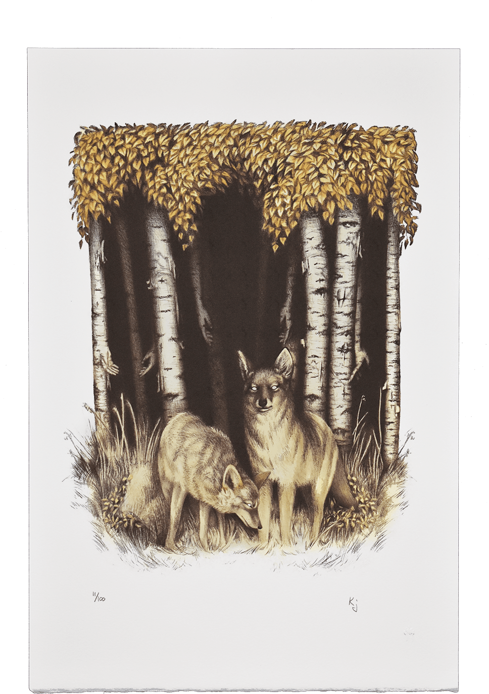 Coyote And Birch - Boar Clipart (988x1403), Png Download