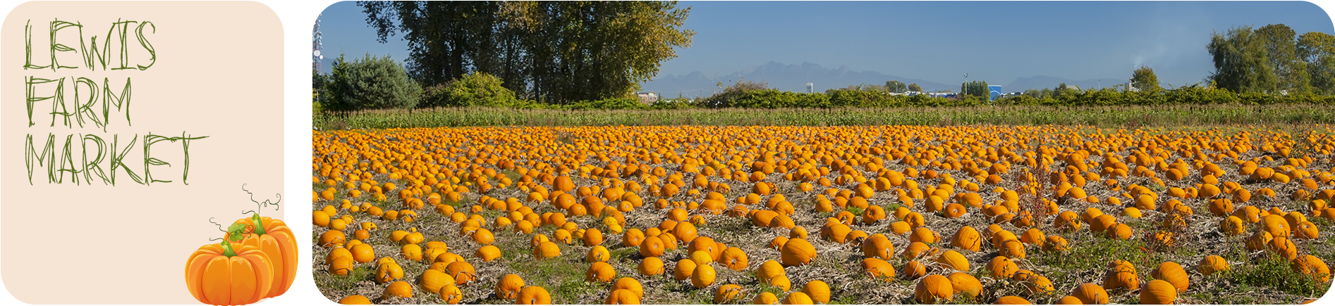 Head To Lewis Farm Market In New Era, Mi To Find Your - Pumpkin Clipart (1920x450), Png Download