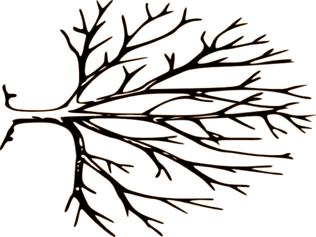 Large Printable Tree Template Clipart (640x480), Png Download