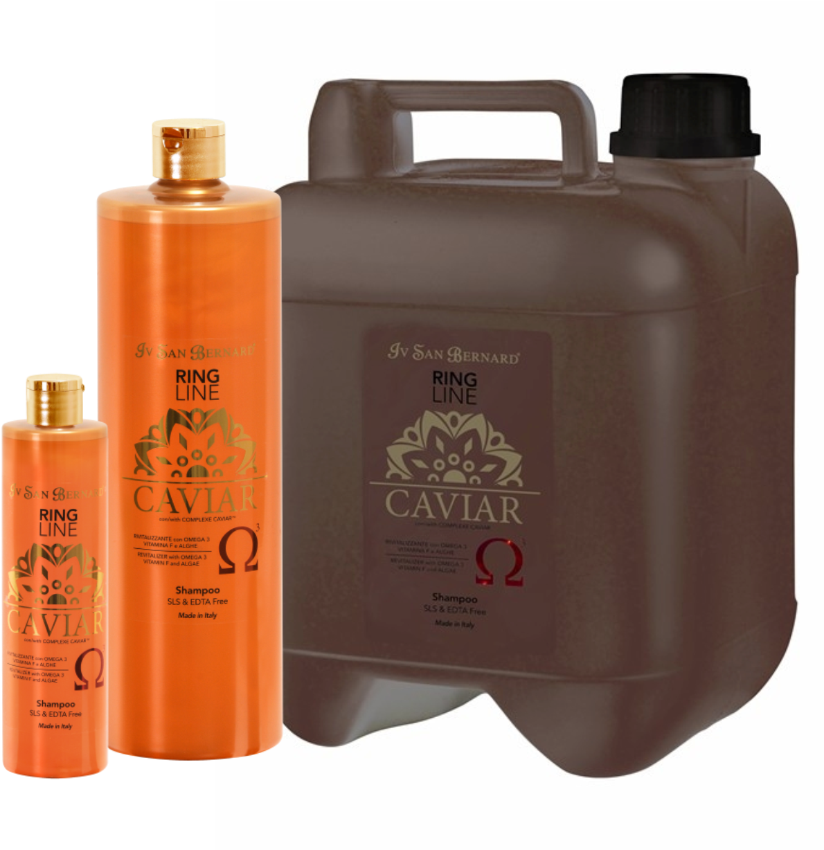 Caviarshp - Caviar Iv San Bernard Clipart (1247x1230), Png Download