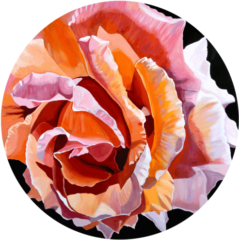 Floral Design Clipart (670x500), Png Download