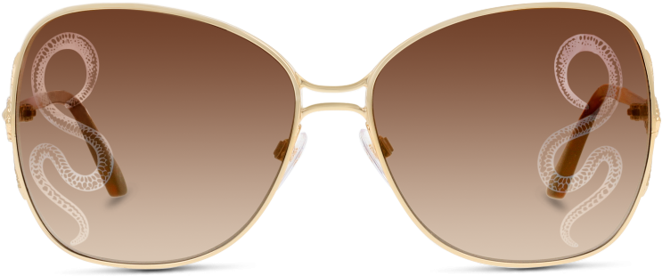 Rc1060 32g Gold/brown Mirror - Shadow Clipart (915x360), Png Download