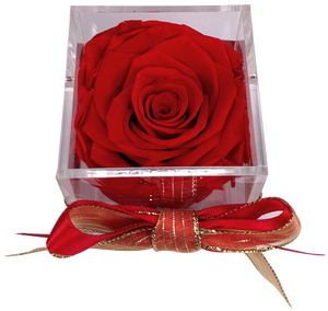 This Beautiful Preserved Rose Will Last More Than A - Garden Roses Clipart (498x664), Png Download