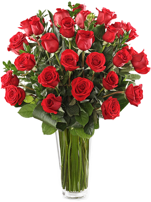Ecuadorian Roses - Rose Collection Clipart (600x720), Png Download