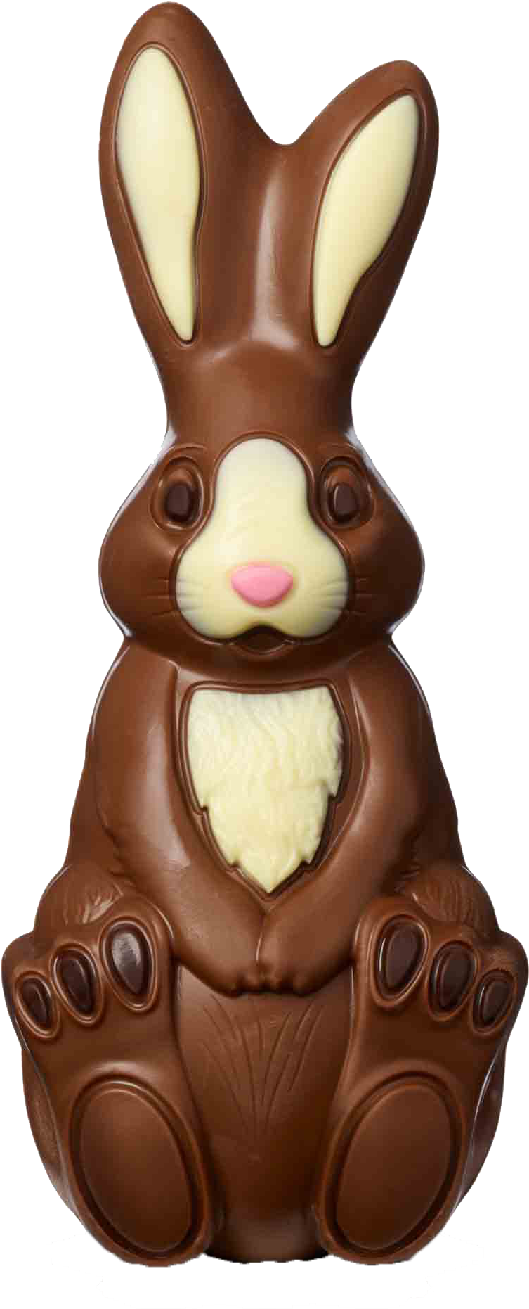 Chocolate Bunny Png - Chocolate Bunny Clipart (753x1861), Png Download