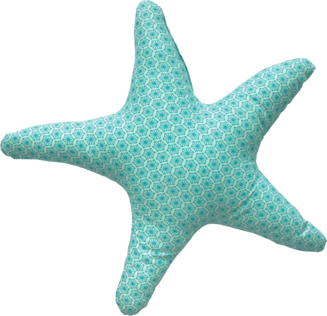Estrelas Do Mar Png - Almofada De Estrela Do Mar Clipart (640x618), Png Download