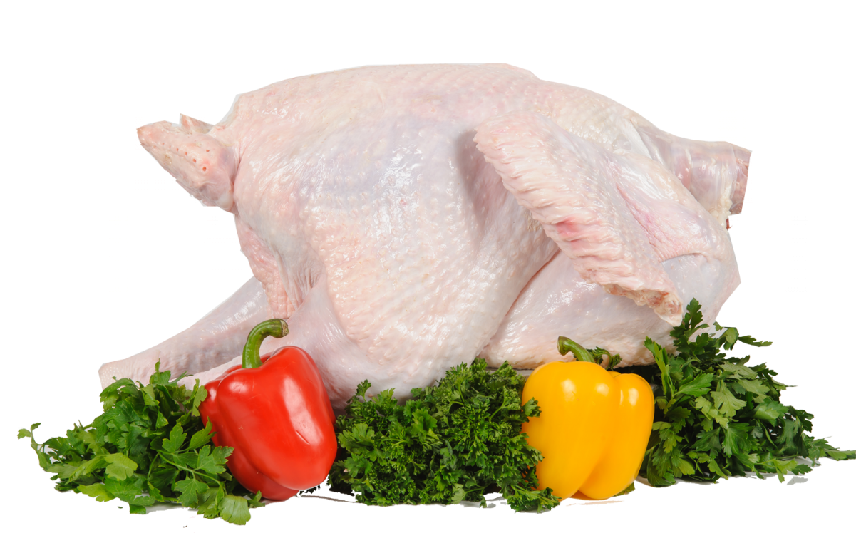 Turkey Food Png - Turkey Meat Clipart (1200x798), Png Download