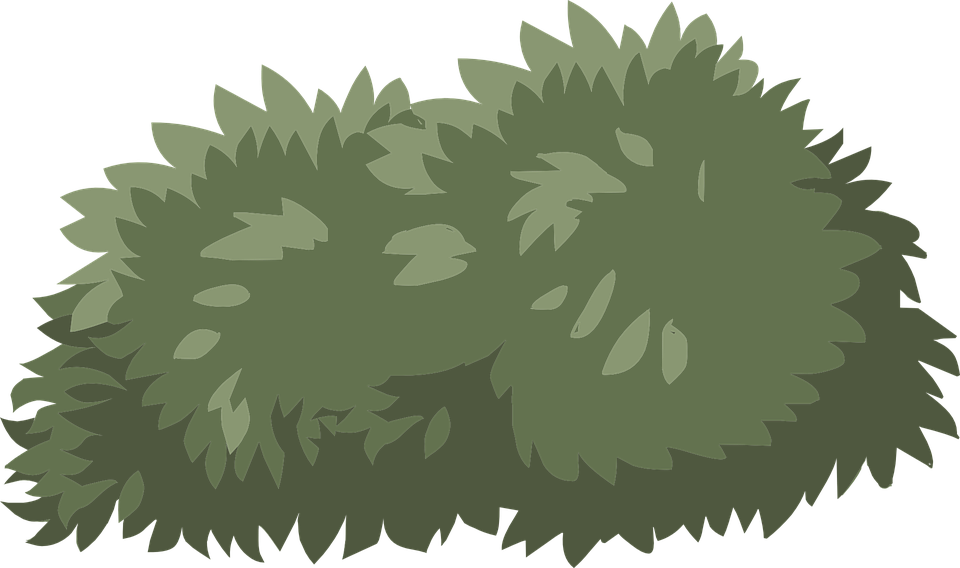 Bush Png Cartoon - Shrub Plants Clipart Transparent Png (960x568), Png Download