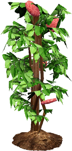 Flower Bush Png Death Eggplant Clipart - Bell Pepper Plant Png Transparent Png (800x600), Png Download