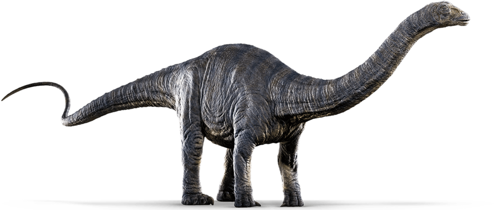 Jurassic World Png Image - Dinosaur Apatosaurus Clipart (1024x429), Png Download