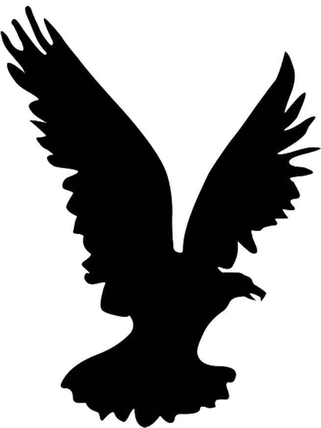 Black Eagle Clipart Flight Silhouette - Flying Eagle Silhouette Png Transparent Png (696x886), Png Download