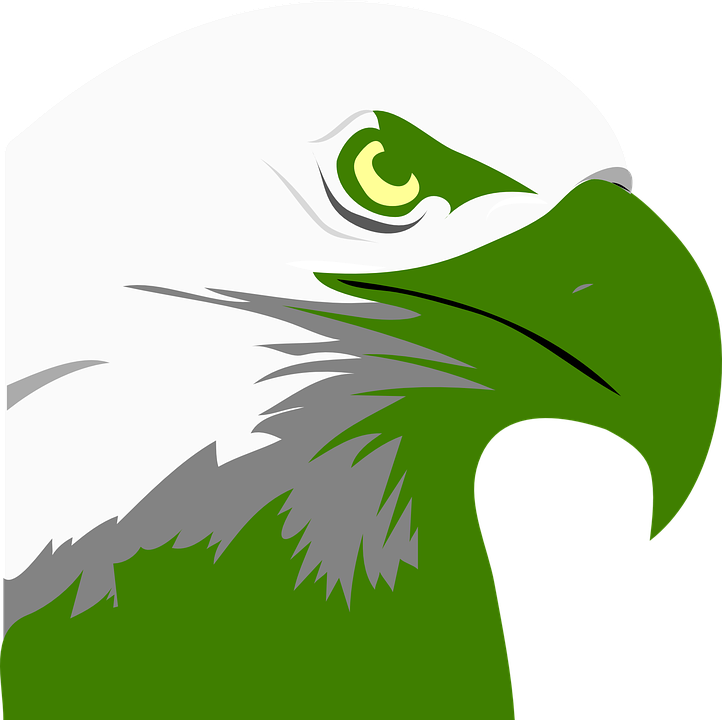 How To Set Use Green Eagle Icon Png Clipart (600x598), Png Download