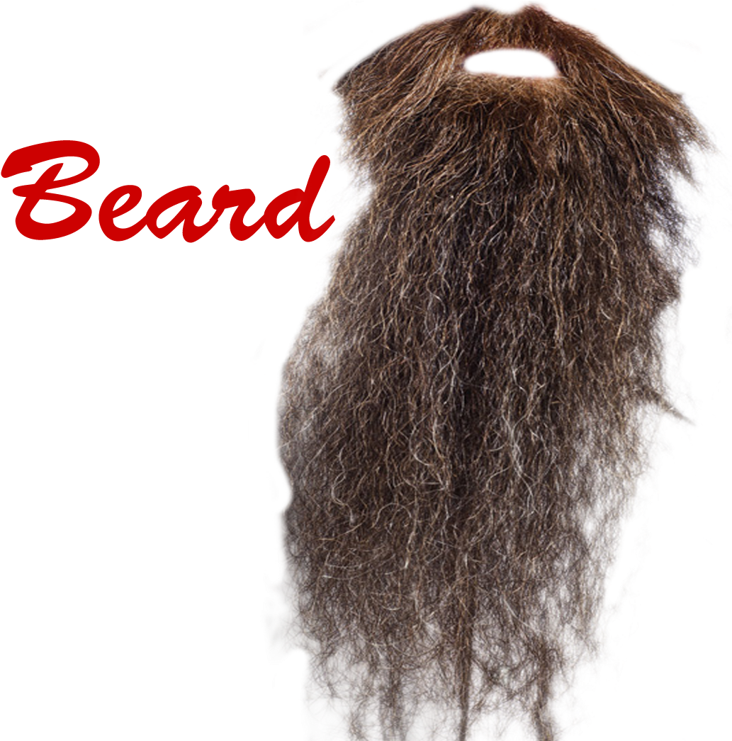 Long Beard Transparent Clipart (1200x1110), Png Download
