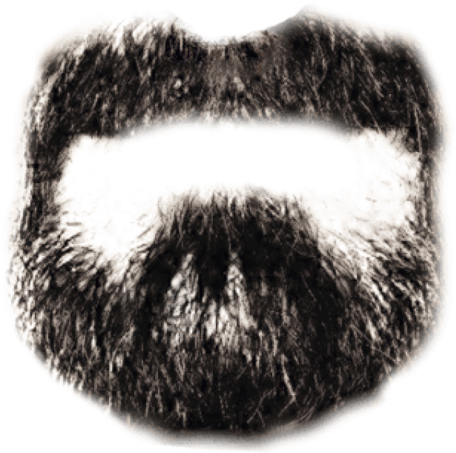 Beard Png Free Download Free PNG Image