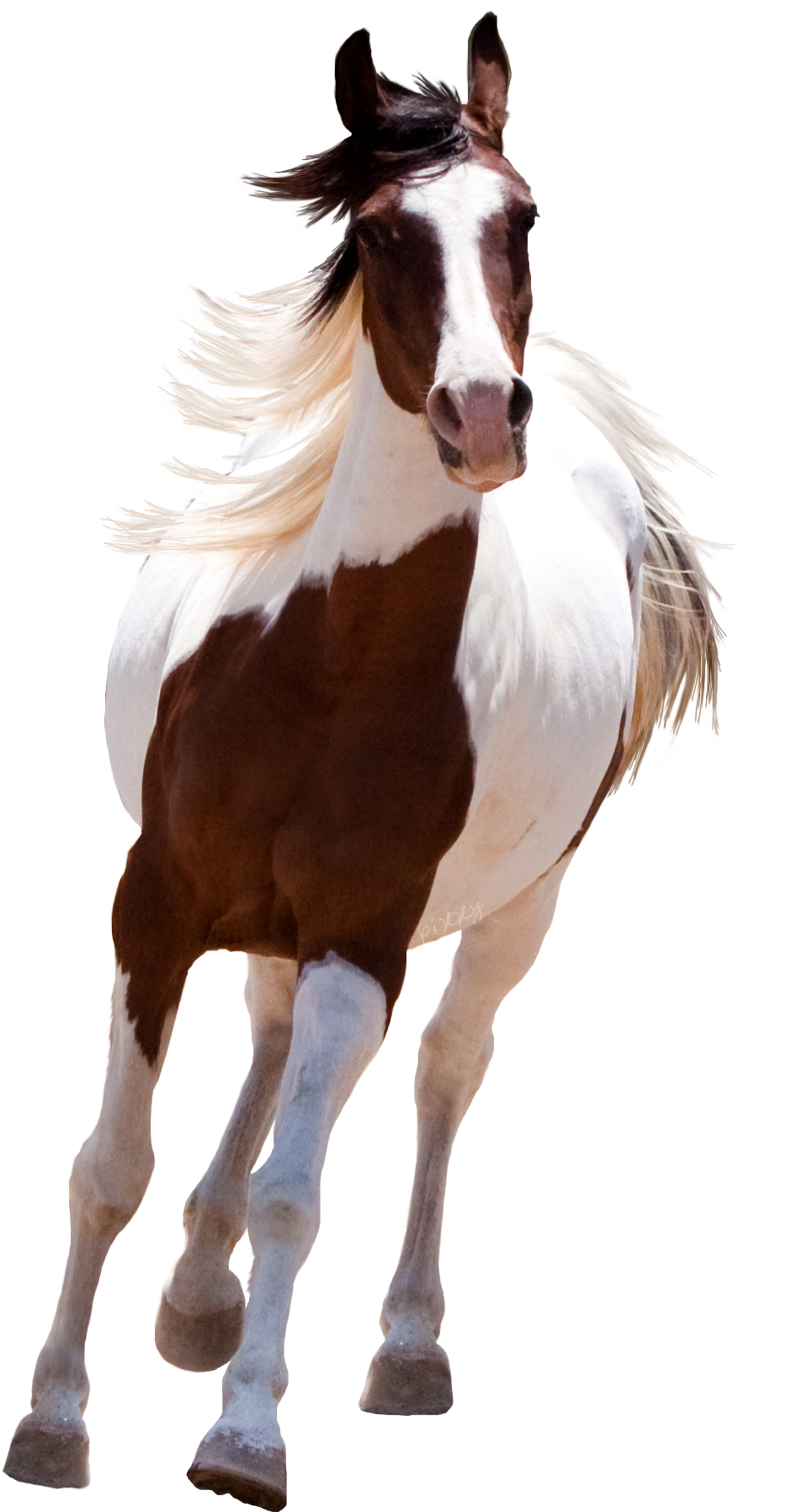 Running Horse Png Clipart (1200x1900), Png Download
