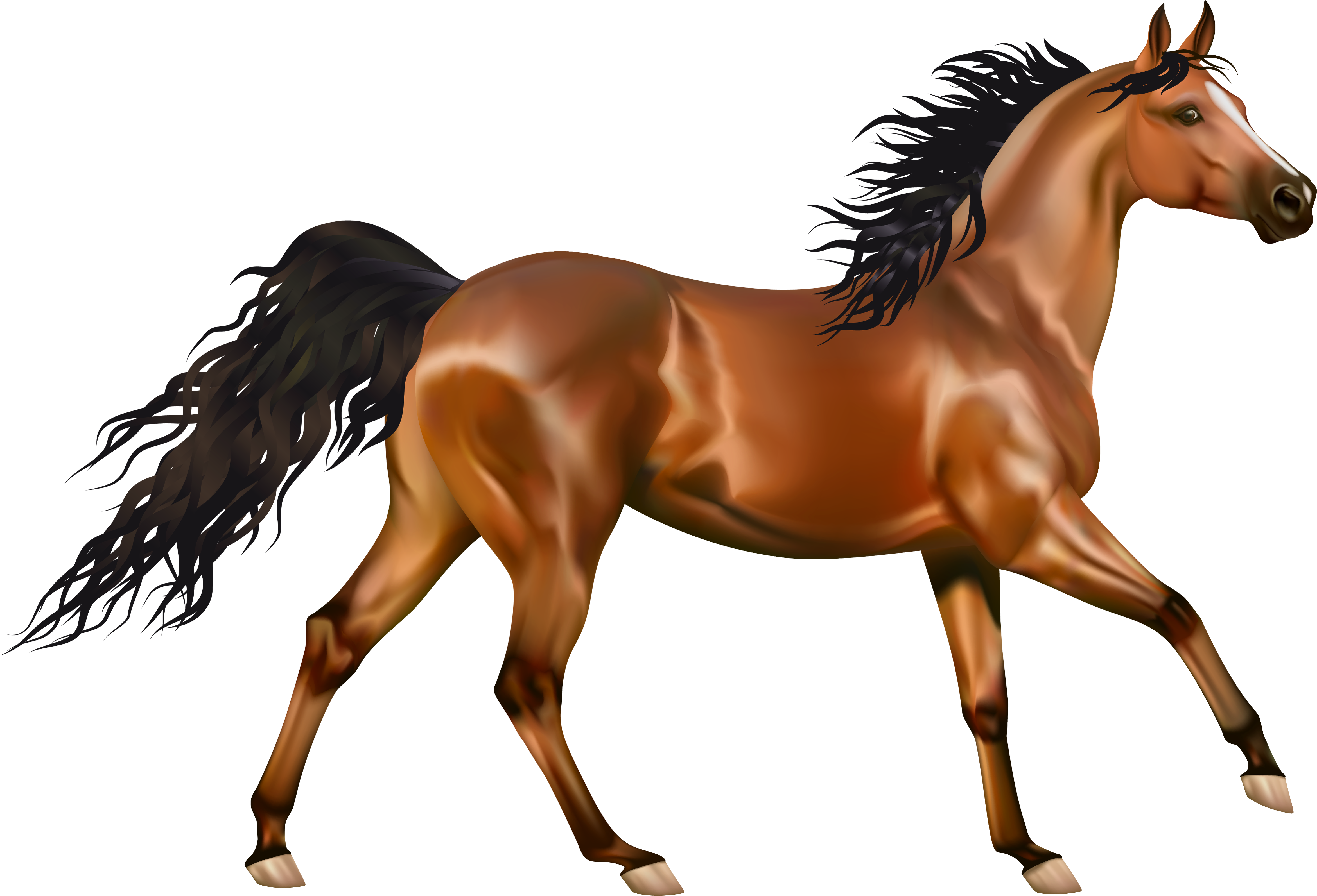 Horse Png Clipart Transparent Png (4700x3210), Png Download