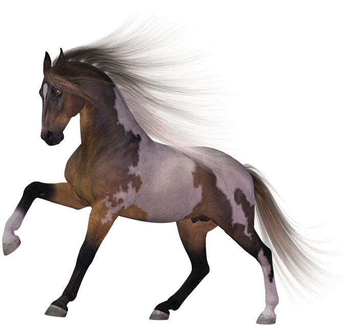 Download Horse Png Transparent Images Transparent Backgrounds - Stallion Clipart (960x720), Png Download