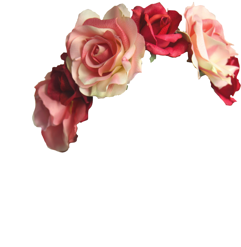 Download Flower Crown Png Transparent Images - Cute Flower Crown