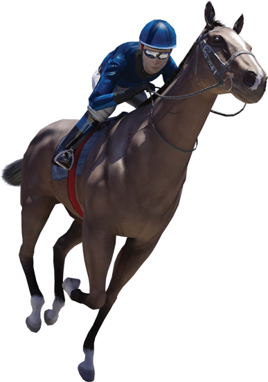 Virtual Horse Race Png Clipart (500x629), Png Download