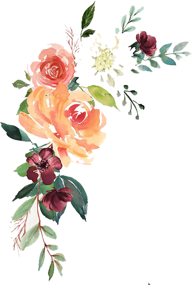 Watercolor Floral Transparent Png- Free Download - Free Floral Watercolor Png Clipart (683x996), Png Download