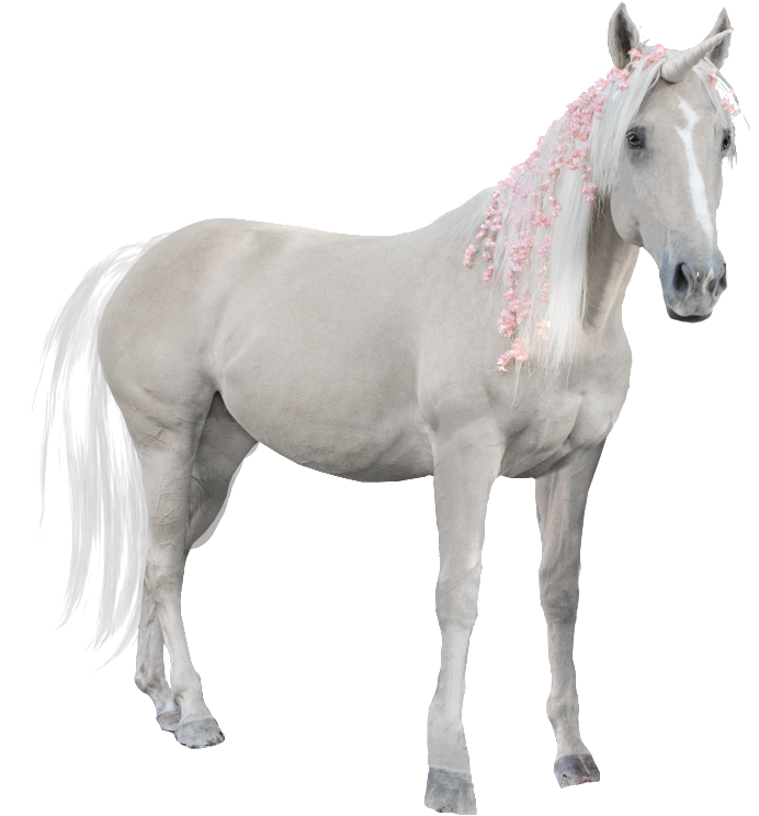 Hand Painted A White Horse Png Transparent Clipart (692x744), Png Download
